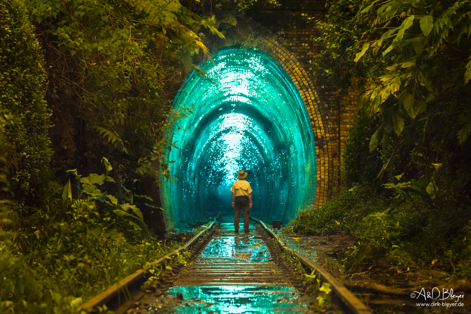 Glühwurmchen in einem alten Eisenbahntunnel